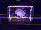 Brain Laser Engraving 3D Crystal Cube for Medical Souvenir