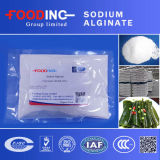 White Crystal Powder Sodium Alginate for Textile Printing and Dyeing