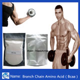 Branch Chain Amino Acid Powder Bcaa for Bodybuilding Nutrition
