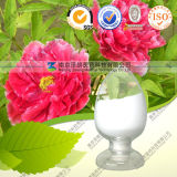 100% Pure Natural High Quality Paeonolum99% Peony Root Extract