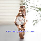 Custom Design Watch Quartz Wrist Watches (WY-021B)