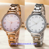Factory Supply Ladies Stainless Steel Wrist Watch of Japan Quartz Movement (WY-17002)