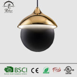 LED Pendant Lights Decorative Home Hanging Lamps