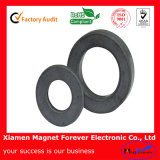 Strong Magnet Ferrite Magnet for Water Pumps