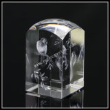 3D Bird Picture in Top Dome Crystal