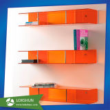 Colorful Acrylic Display Cases on Wall Mounted Display Shelf