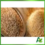 Hot Sale Znic Propionate for Feed Grade/China Supplier
