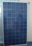 Photovoltaic Panel 300W Polycrystalline Solar Panel for Large Solar Power Plant