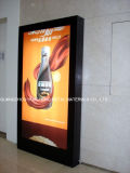 Lightbox for Outdoor Advertising (HS-LB-081)