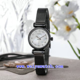 Watch Customize Luxury Wrist Watches (WY-017F)