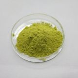 Rutin 95% 98% Sophora Japonica Extract Dab Usp Ep Cas 153-18-4