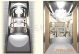 Fujizy Panoramic Elevator with Machine Room-Less