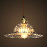 Indoor Lighting Hanging Pendant Lamp with Transparent Glass Shade