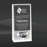 Ice Crystal Diamond Award (T-NIE510)