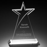 Shooting Star Crystal Award (2025)