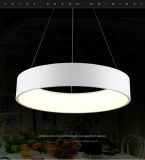 Best-Selling Round Modern Decorative LED Pendant Light Lighting