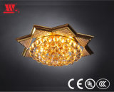 Ocragon Ceiling Lamp with Crystal Decoration