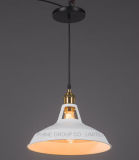 Modern Bar Decorative Lampshade Pendant Lamp for Indoor Use