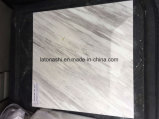 Snow White Marble with Grey Veins for Tile and Slab