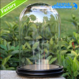 Clear Bell Jars Glass Domes Wholesale