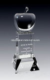 9 Inch Tall Superb Apple Crystal Award Trophy (GL12)