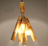 Modern Bar Decorative Lampshade Pendant Lamp for Interior