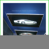 Double Side LED Product Exhibition Display Light Box