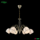 Indoor Chandelier Lighting with Glass Shade, Decorative Lights