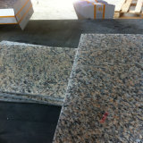 China Popular Cheap Granite for Tiles and Slabs (Tiger Skin Red)