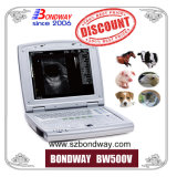 Laptop Veterinary Ultrasonic Machine, Veterinary Ultrasonic Scan Machine, Diagnostic Scanner Ultrasound for Veterinary, Veterinarian, USG