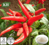 Red Pepper Extract Capsaicin for Improving Immunity of Body