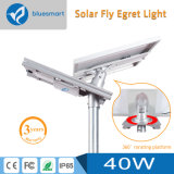 Solar LED Outdoor Garden Street Lighting with Replaceable Battery