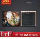 ERP Lot20TUV GS SAA Ce RoHS IP54 Manufacturer 360W 600W 720W 960W 1200W All Power Ceilng Mounted Heating Film
