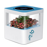 Am: 10 Smart-Forest Ecological Air Cleaner with Plants, Anions, Sterilization crystal and HEPA Filter
