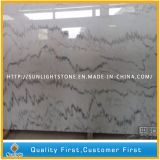Chinese Guangxi White Marble Slabs for Floor or Wall Tiles