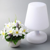 Recyclable PE Table Lamp Side Lamps with RGB LED