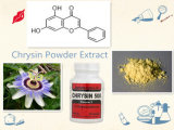 Natural Chrysin Powder Extract on Sell