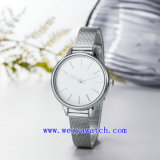 Hot Selling Stainless Steel Wrist Watches (WY-17035A)