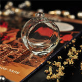 Transparent Empty Diffuser Perfume Bottles