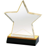 Lucite Acrylic Star Awards with Different Sizes and Colors