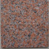 Natural/China G562 Maple Red Granite for Floor Tile/Wall Cladding