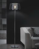Modern Design Carbon Steel Floor Lamp (632F3)