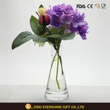 Hot Selling Clear Glass Ikebana Vases