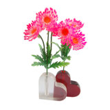 Beautiful Heart Shape Acrylic Vase