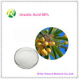 100% Natural Folium Eriobotryae Extract Ursolic Acid 98%