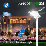 40W Solar Street Light LED Garden Light with Solar Panel
