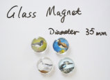 Souvenir Birds Glass Bead Magnet Gifts