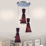 Modern Indoor Restaurant Home Decor Decorative Hanging Pendant Lamp