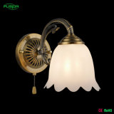 Indoor Decorative Wall Lamp with Zipper Switch