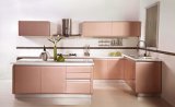 Project Experience Manufacturer Modern Kitchen Cabinets (ZHUV)